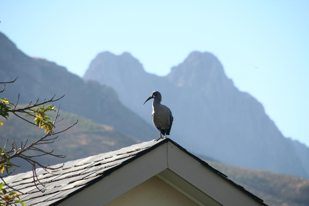 Keren'S Vine Guesthouse Stellenbosch Luaran gambar